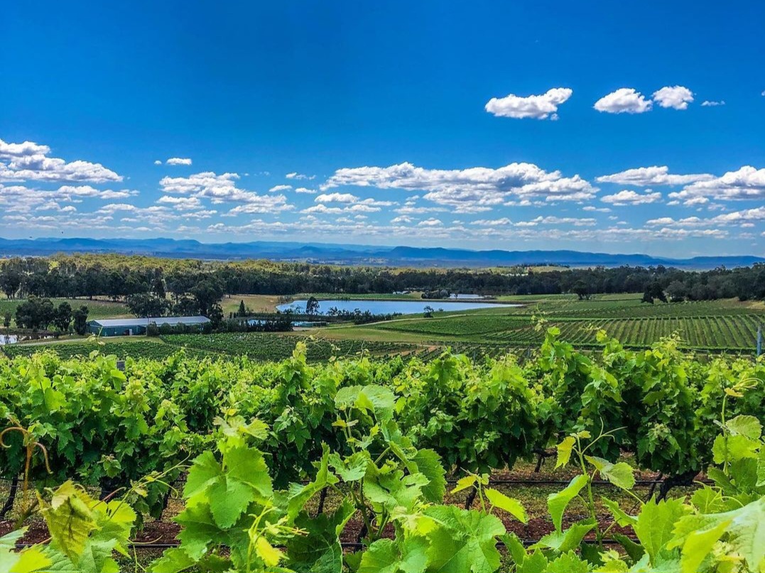 Hunter Valley Private Tours